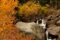 Colorado Fall Colors-5116.jpg